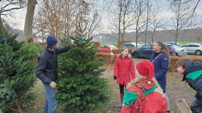 En familie, der kigger på juletræ ved De Vilde Svaner - Nivås juletræssalg